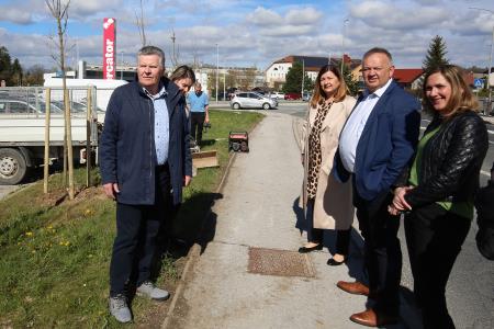 Zasaditev dreves med regionalno cesto in centrom Mercator 03 Foto Ljubo Vukelič